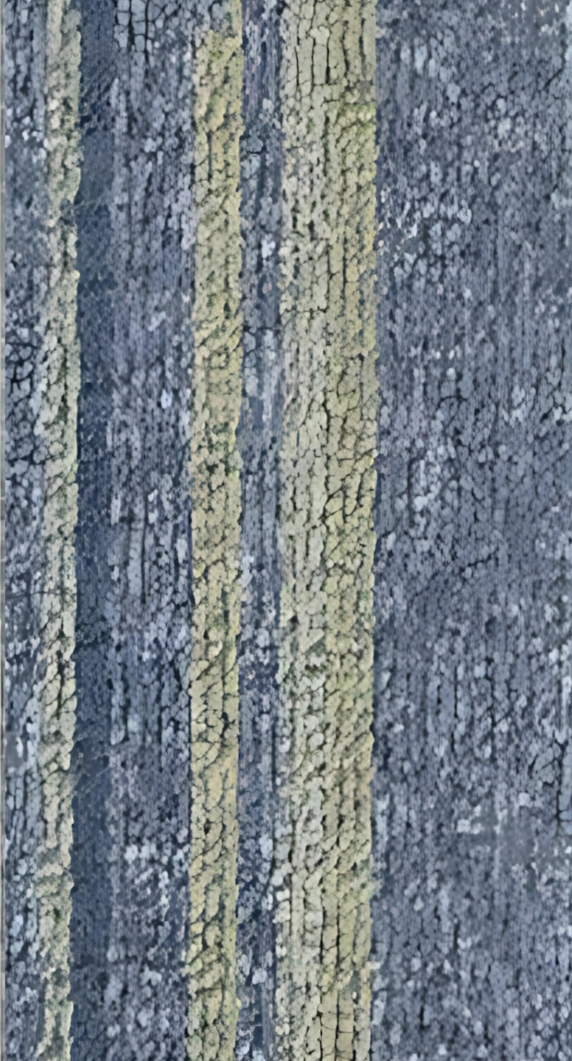LVT Carpet Flooring - " KAV-LVT-204802 "