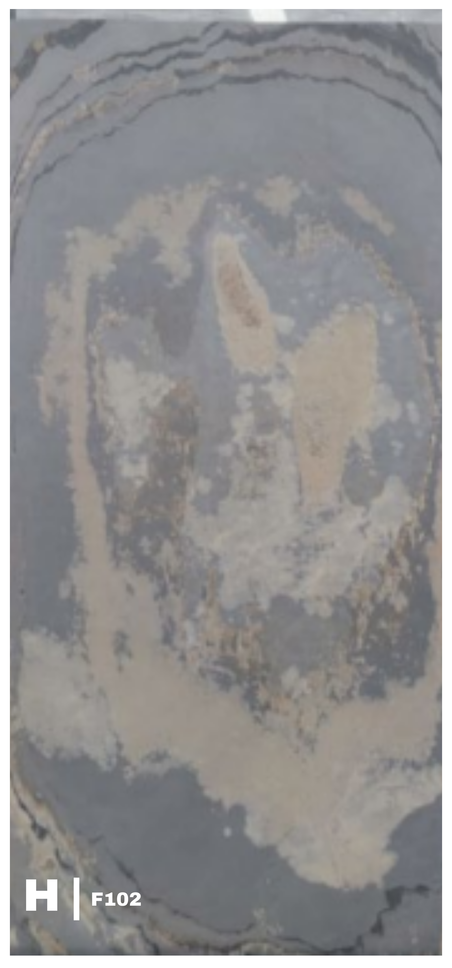 Veneered Stone - "F102 | A-J" Stone Pattern