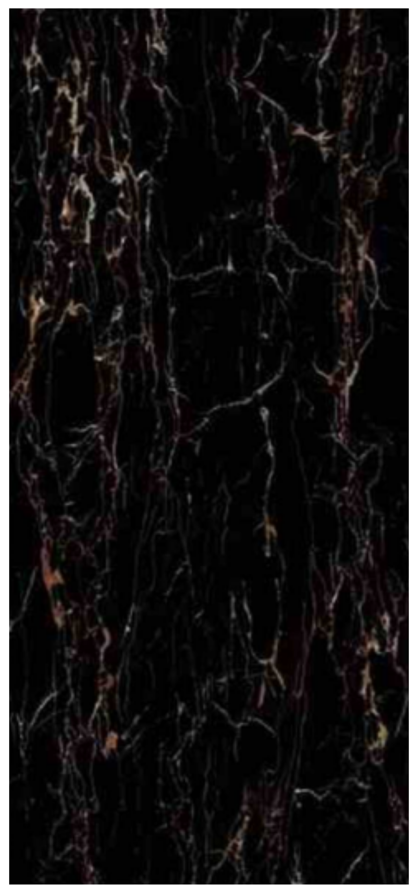 Normal Sintered Stone Slab - "Italian Black Gold Flower" Stone Pattern