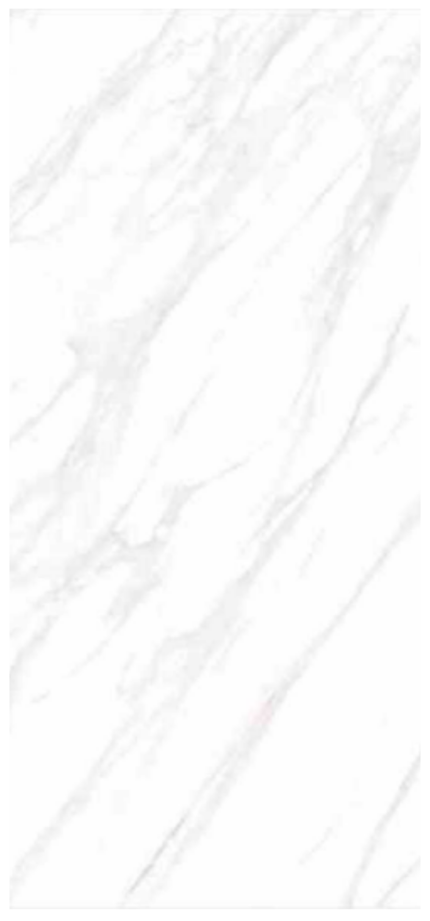 Normal Sintered Stone Slab - "Italy Calacatta Gold" Stone Pattern