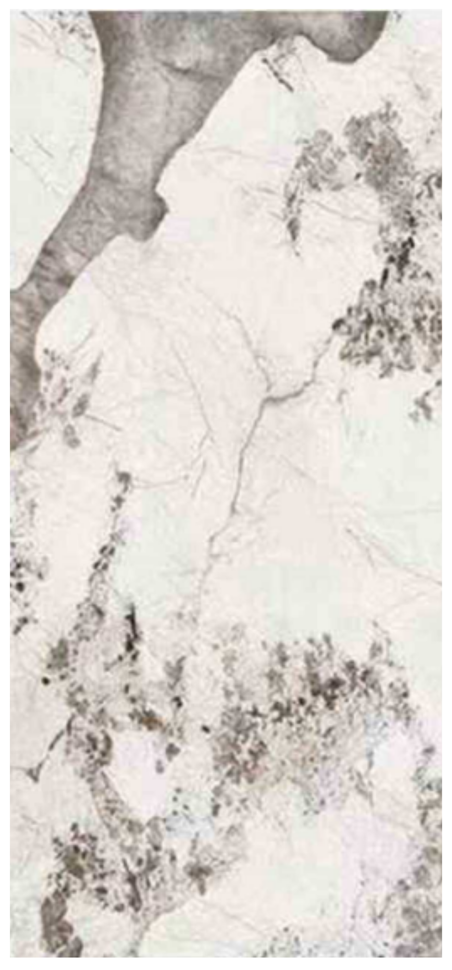 Normal Sintered Stone Slab - "Pandora 3 | ABC" Stone Pattern