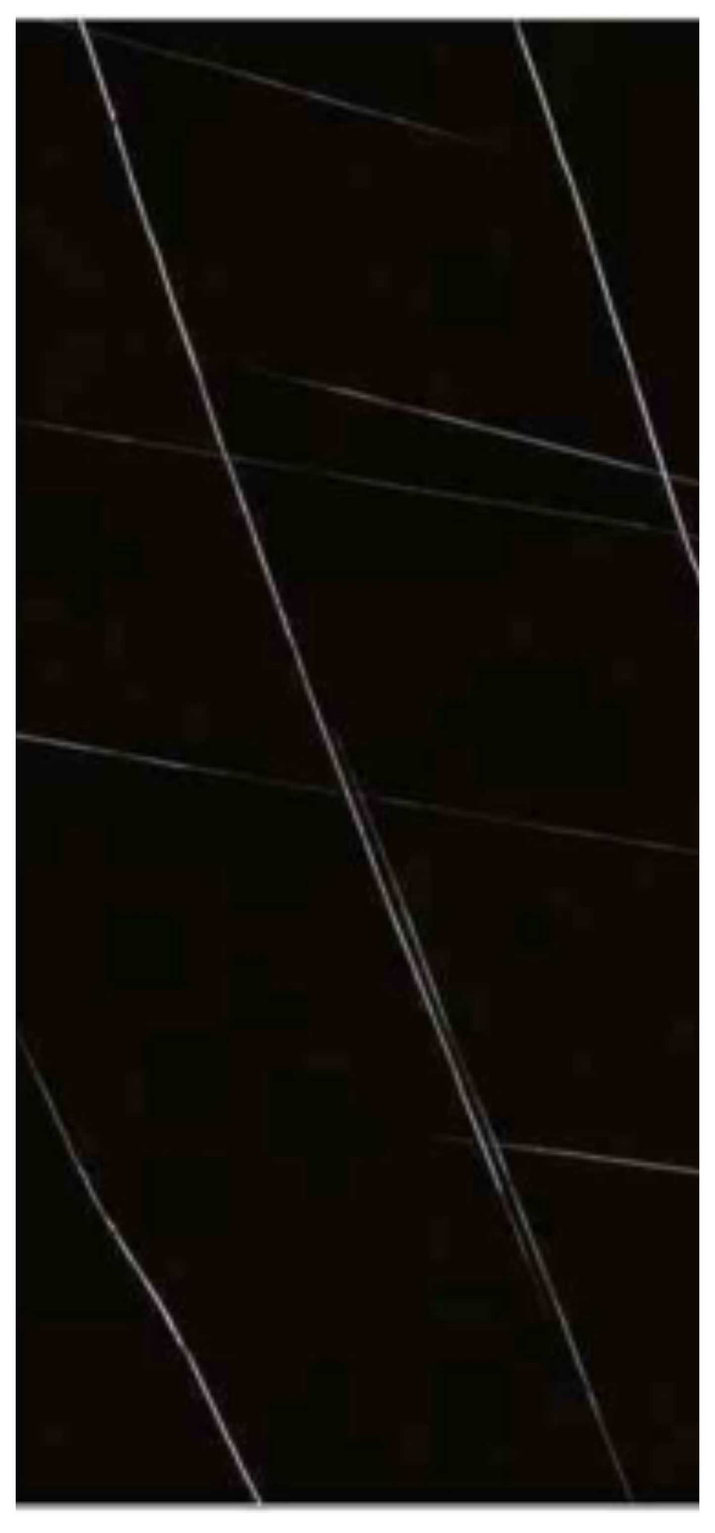 Normal Sintered Stone Slab - "Straight Black & White Roots" Stone Pattern