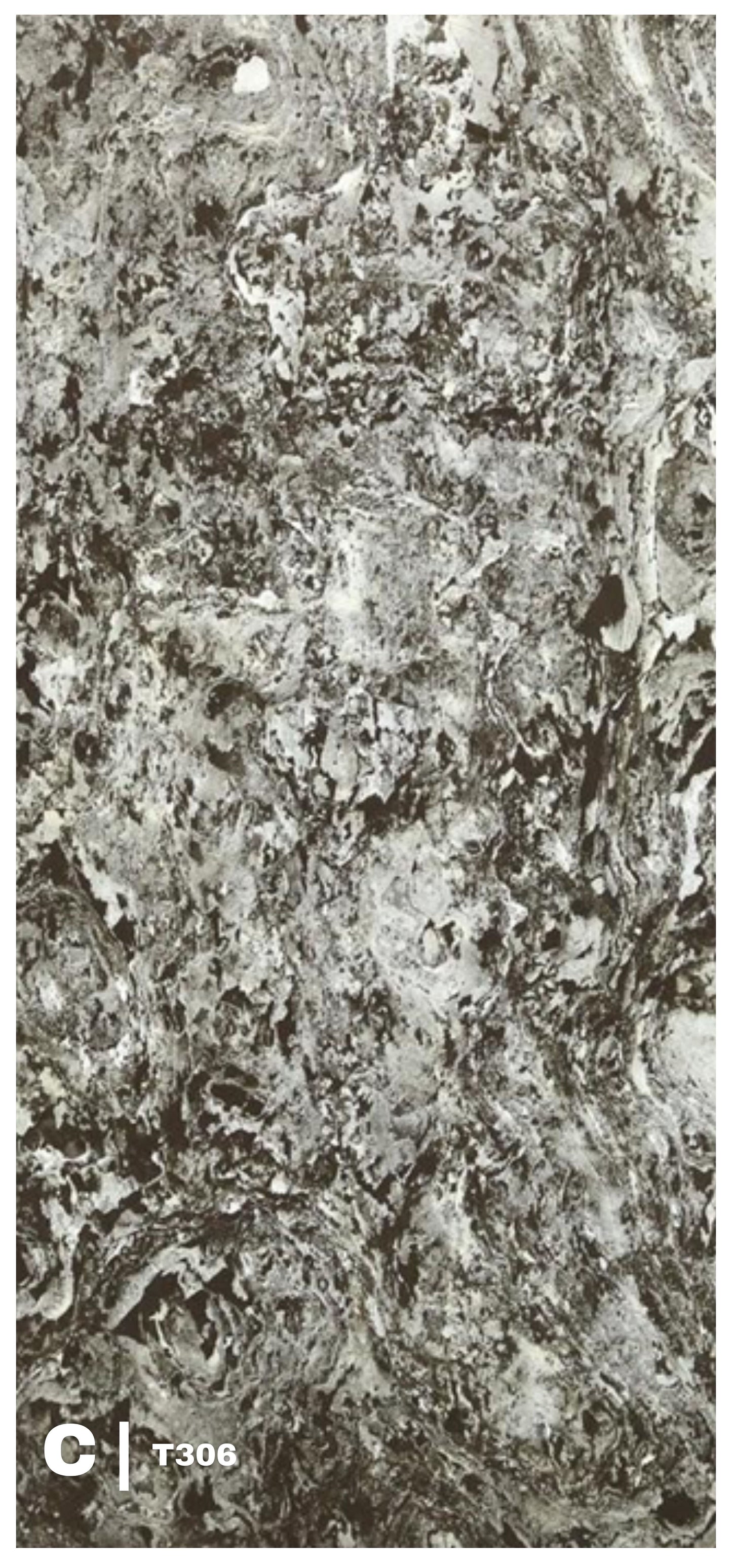 Veneered Stone - "T306 | A-B" Stone Pattern