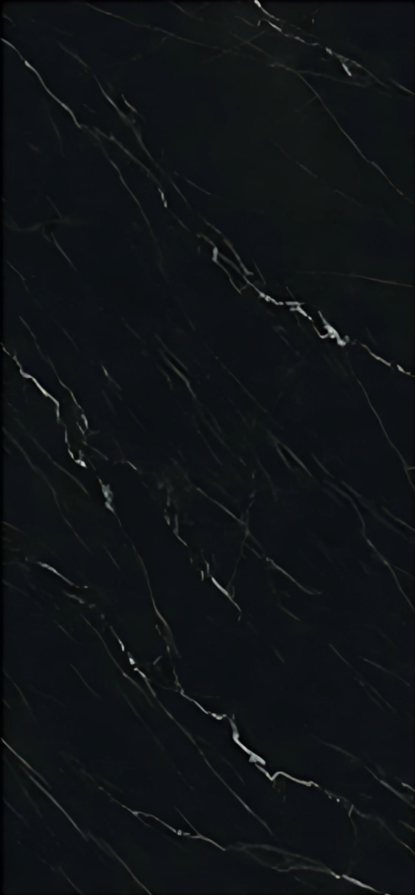 Full Body Sintered Stone Slab - " MT1003MF COARSE GRAIN LANUENT BLACK" Black White
