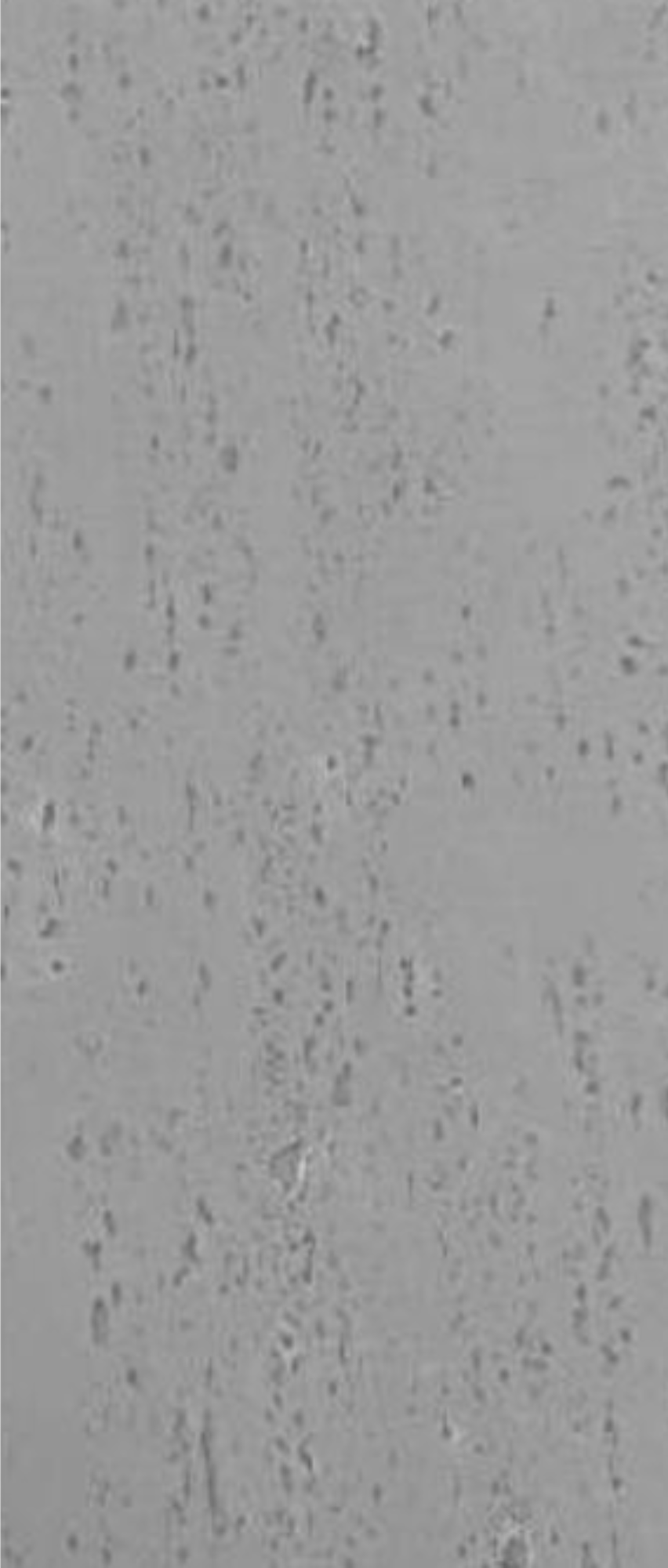 Modified Clay Material - "Travertine"