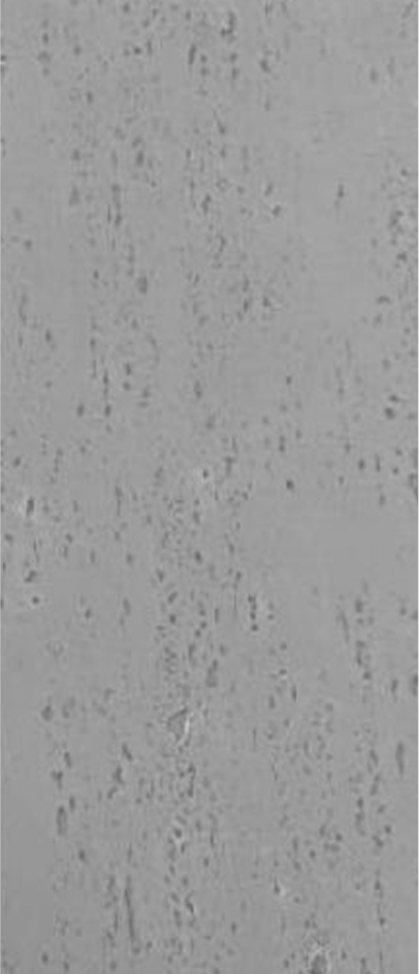 Modified Clay Material - "Travertine"